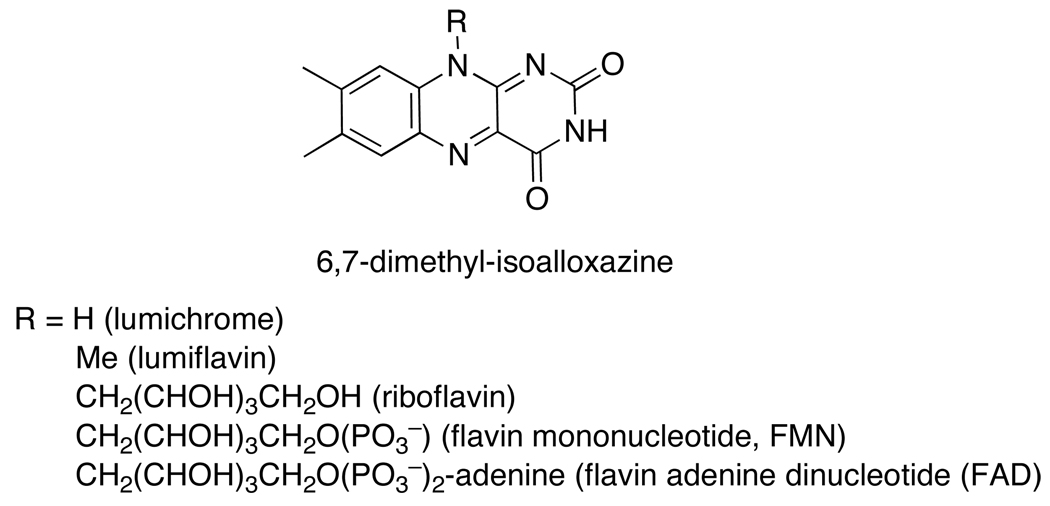 Scheme 10