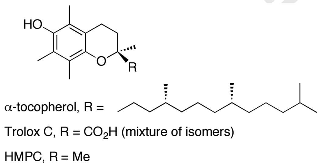 Scheme 8