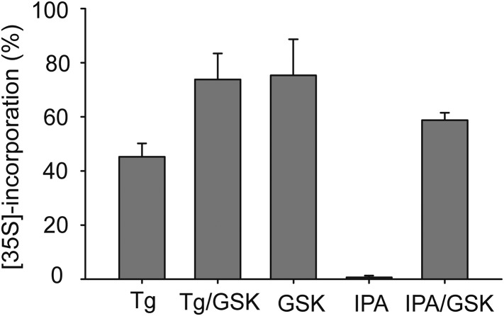 Figure 5—figure supplement 1.