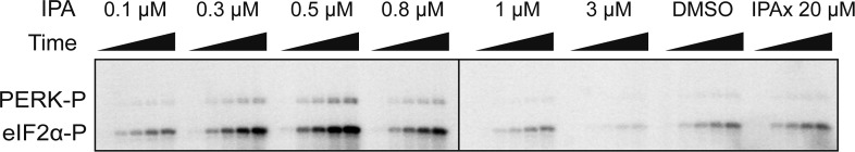 Figure 6—figure supplement 1.