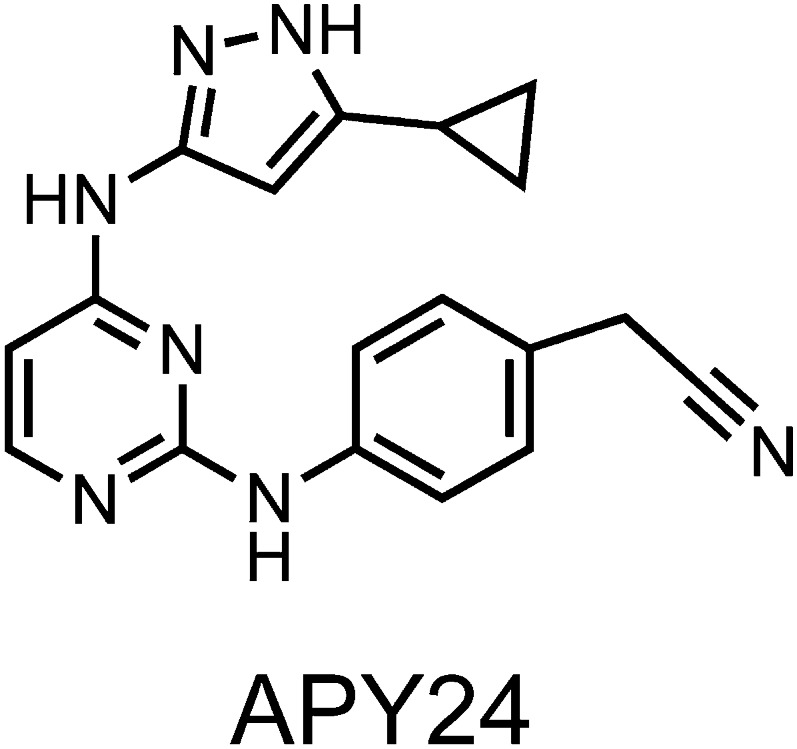 Figure 1—figure supplement 2.