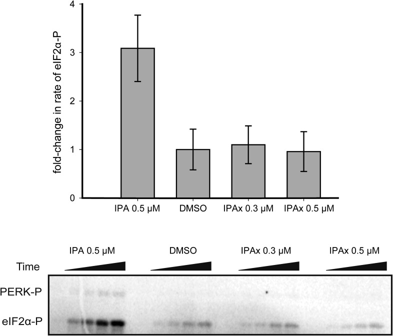 Figure 6—figure supplement 2.