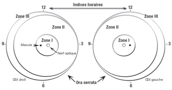 Figure 1)