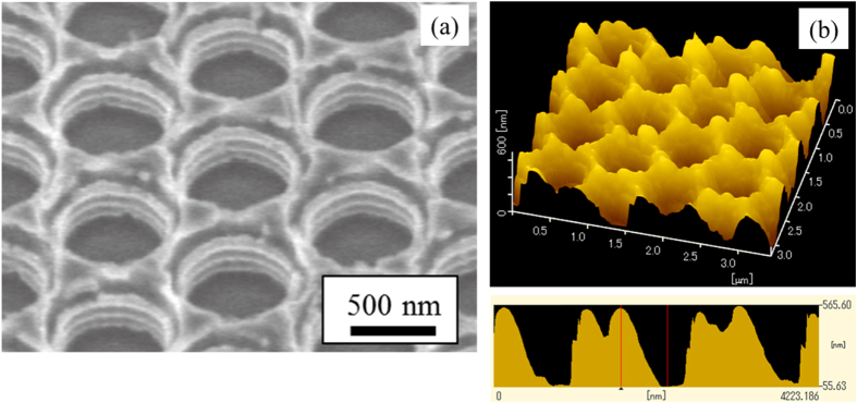 Figure 4.