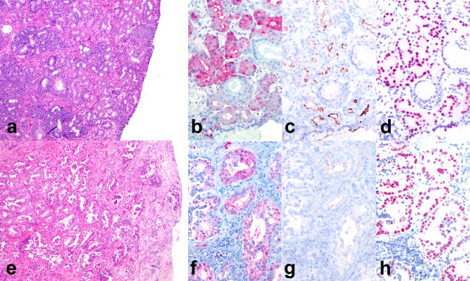 Fig. 7