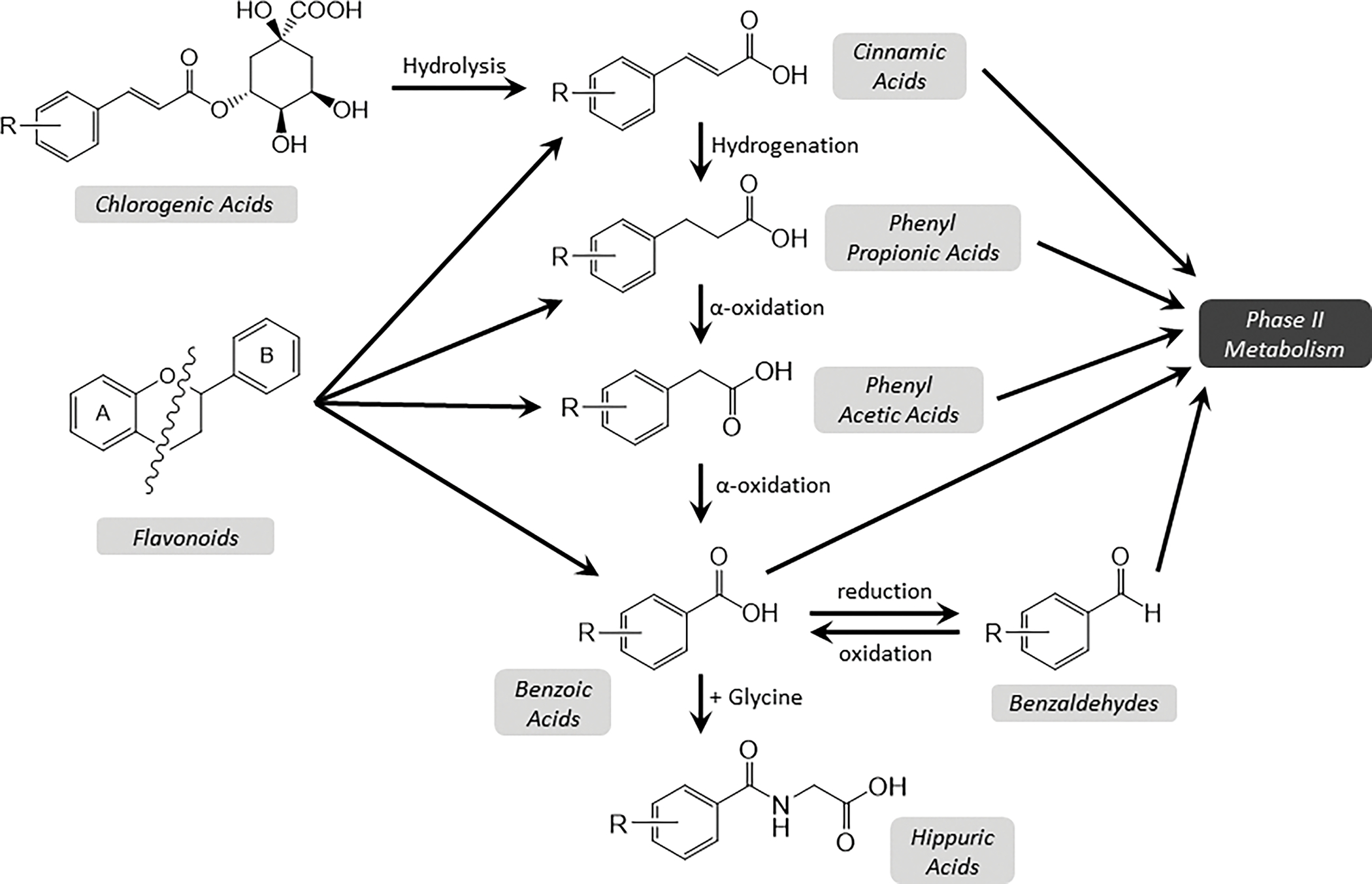 Figure 4 –