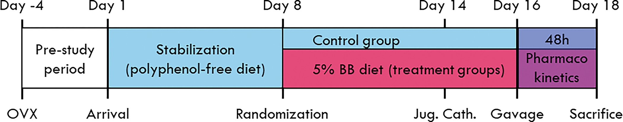 Figure 1 –