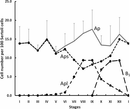 Figure 3