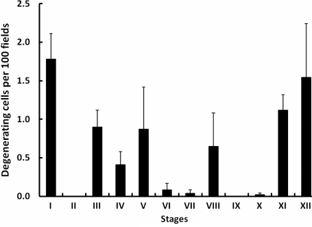 Figure 6