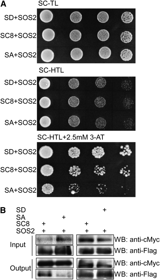 Figure 6.