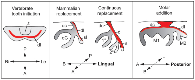 Fig. 8.