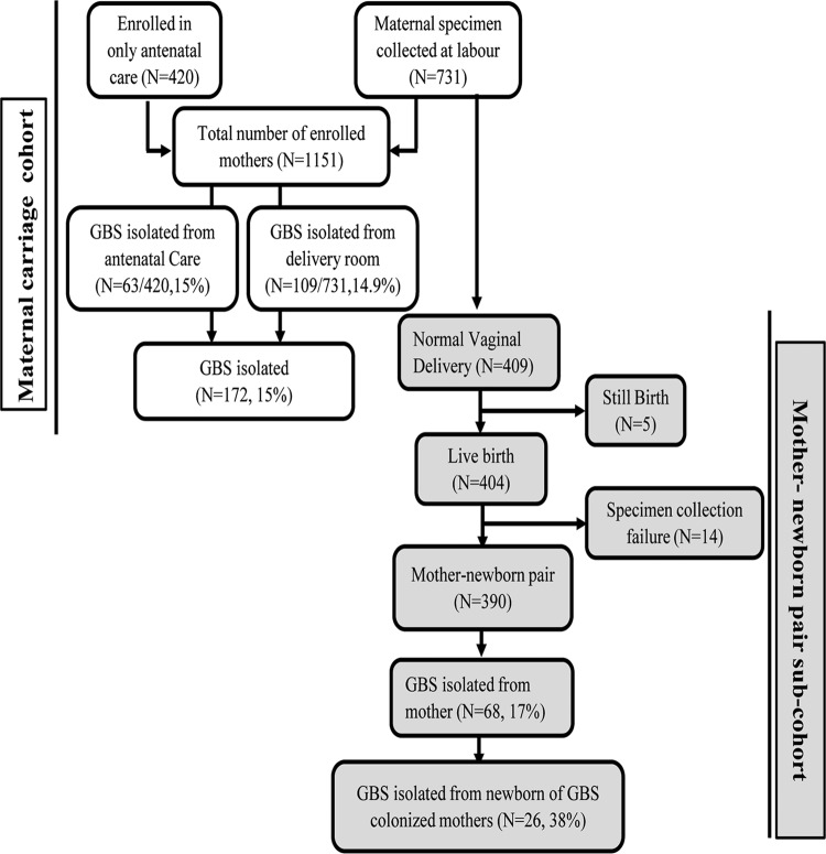 FIG 1