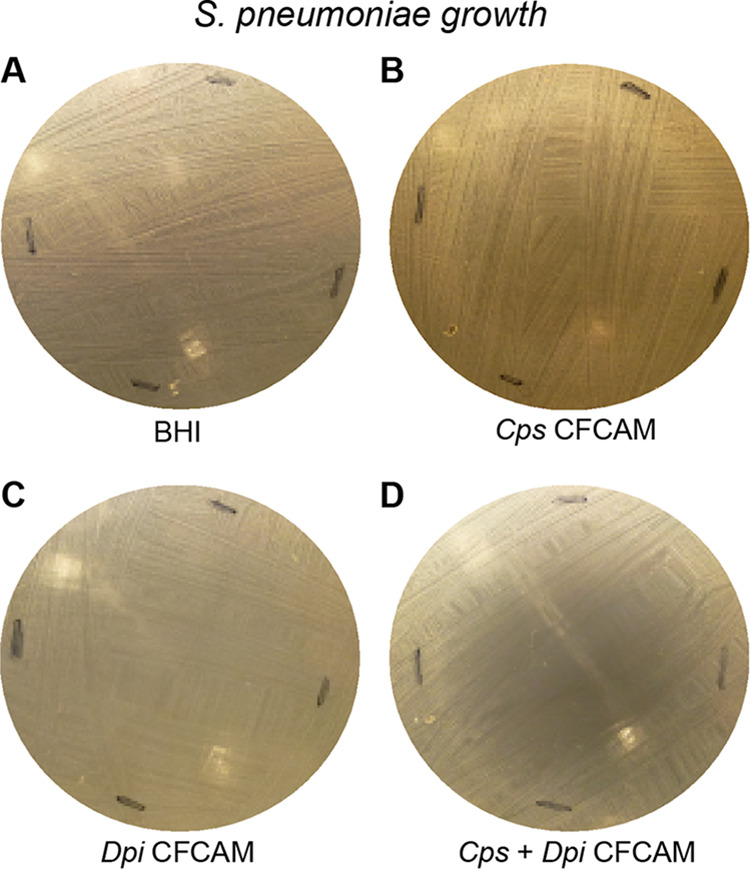 FIG 5