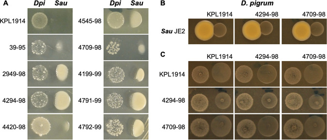 FIG 3