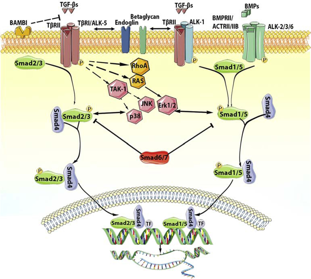 Figure 1: