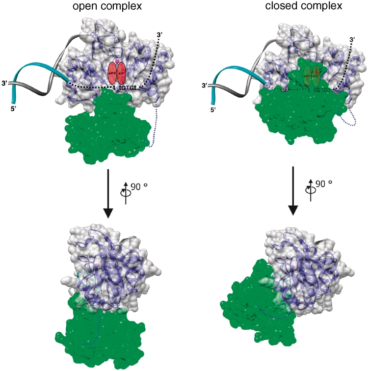 Figure 10.