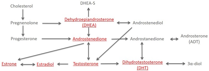 Figure 1.