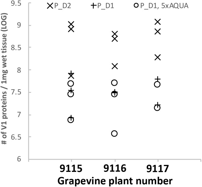 FIGURE 9