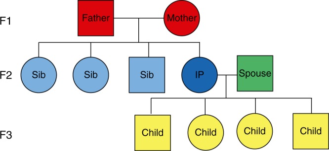 Fig. 1