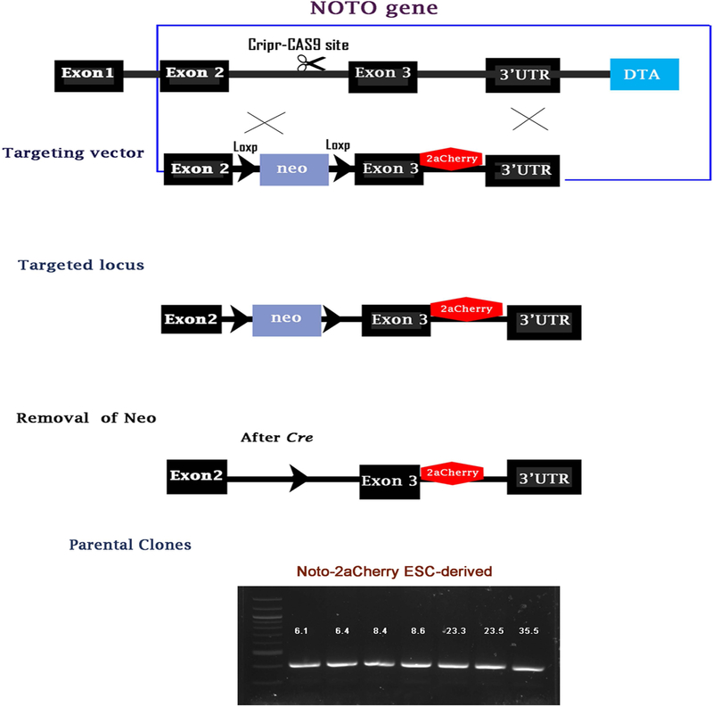 Figure 1: