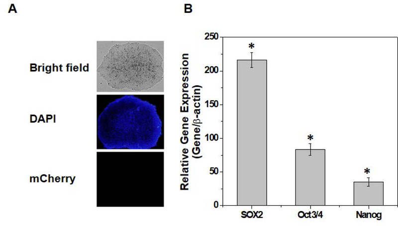 Figure 2: