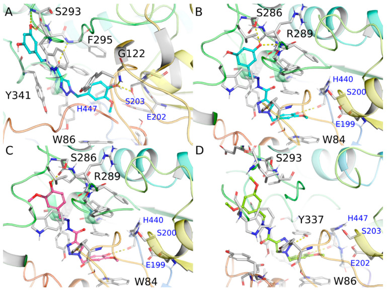 Figure 4