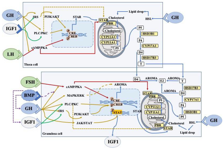 Figure 2