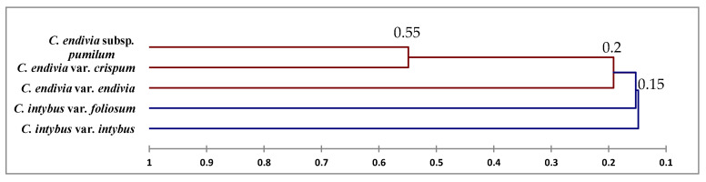 Figure 8