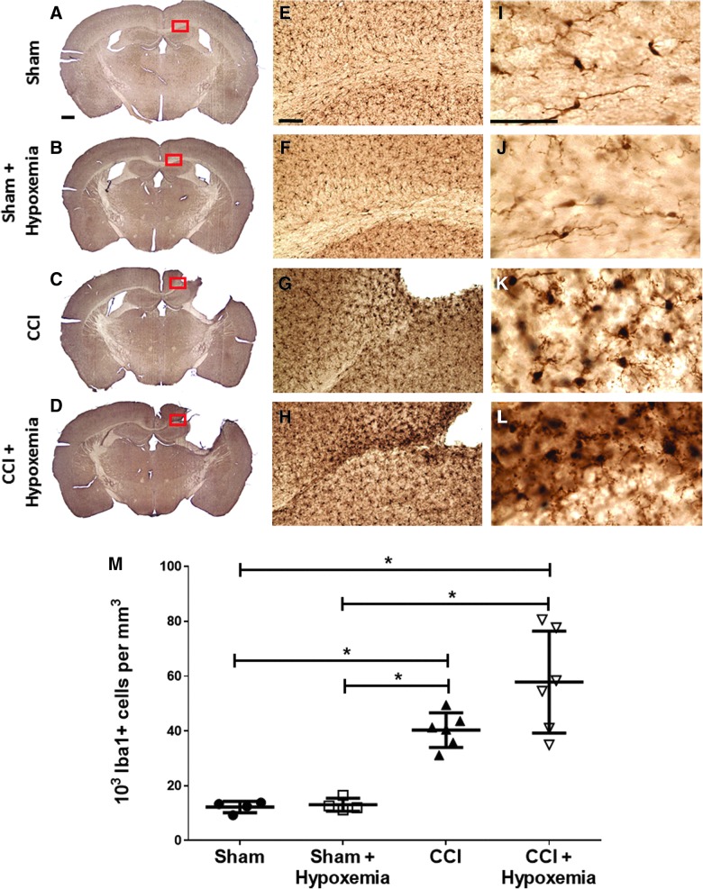 FIG. 7.