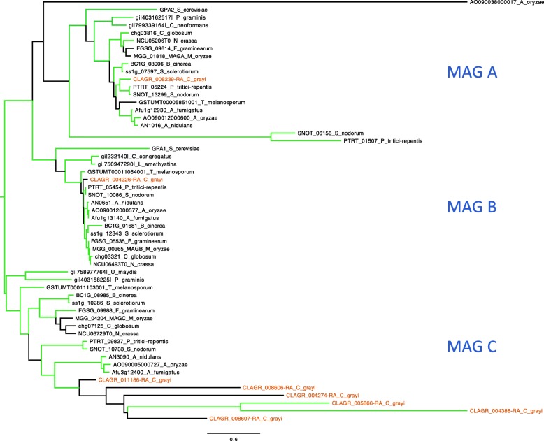 Fig. 13