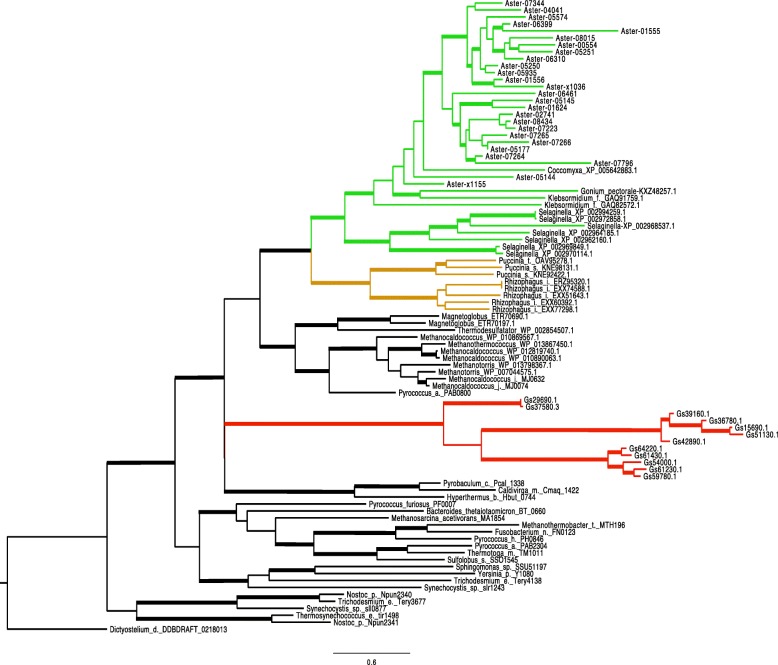 Fig. 12