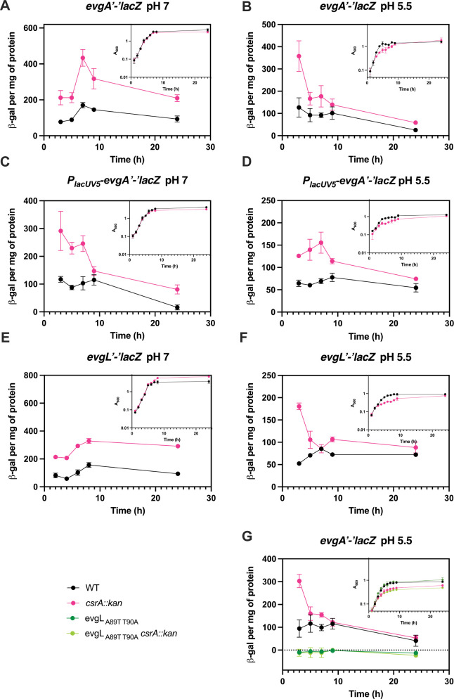 Fig 6