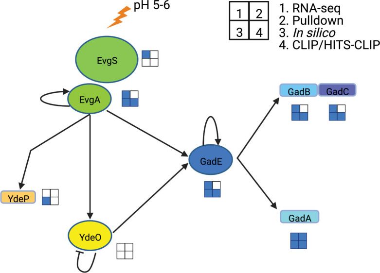 Fig 1