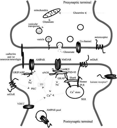 Fig. (1)