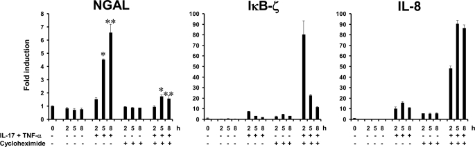 FIGURE 7.