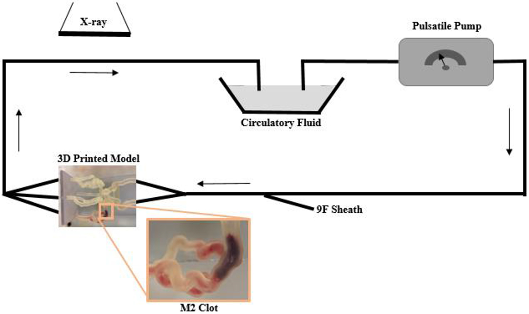 Figure 2: