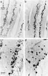 FIG. 8