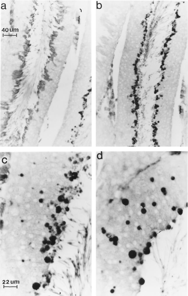 FIG. 8