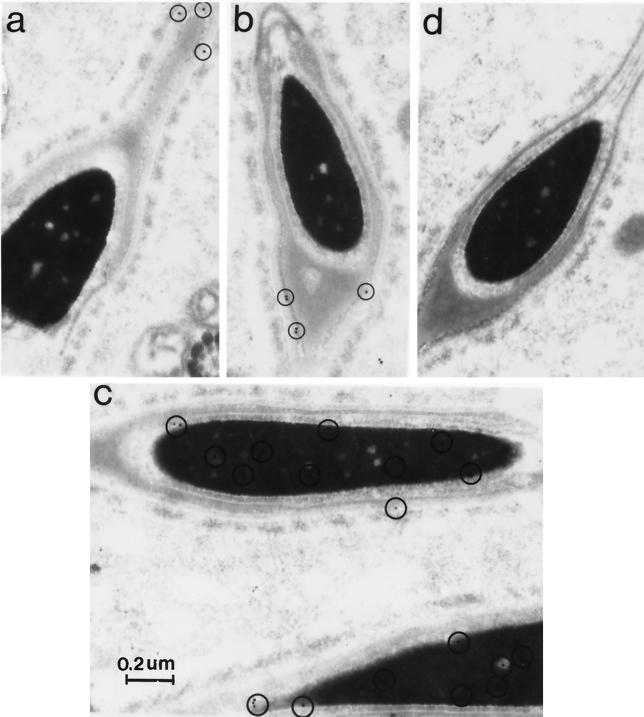 FIG. 9