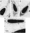 FIG. 9