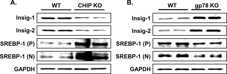 Figure 5