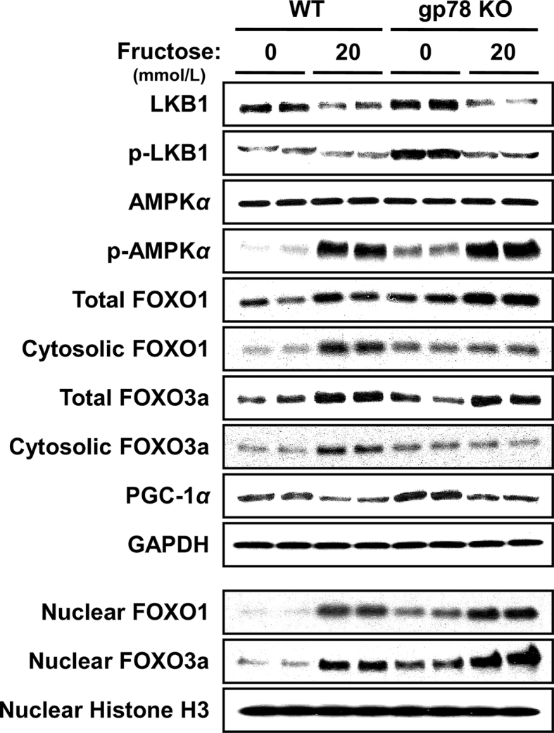 Figure 10