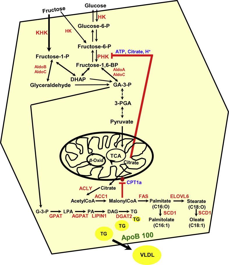 Figure 7