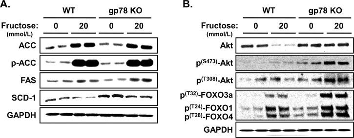 Figure 9