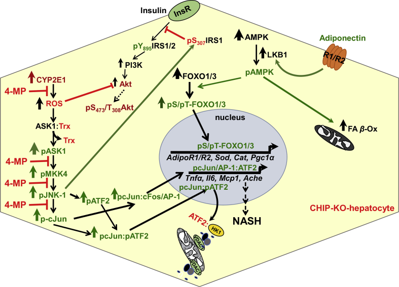 Figure 4