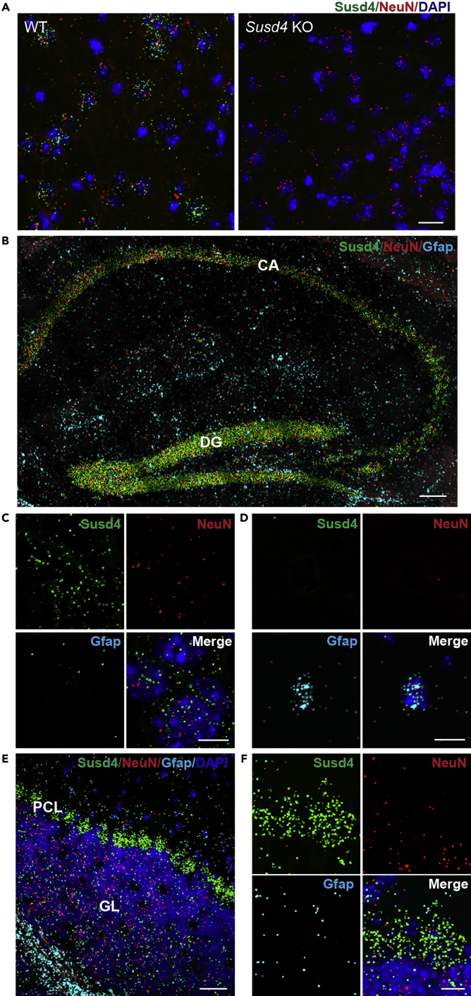 Figure 3