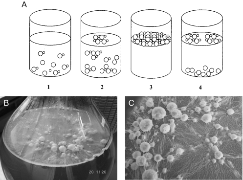 FIG. 4.