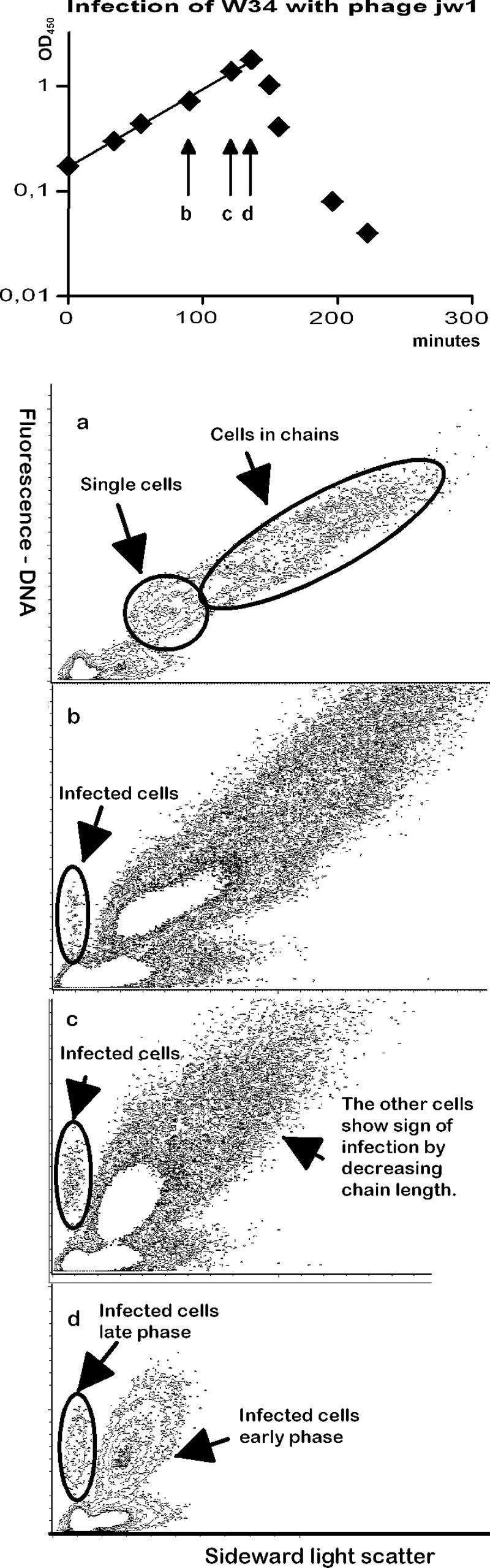 FIG. 7.