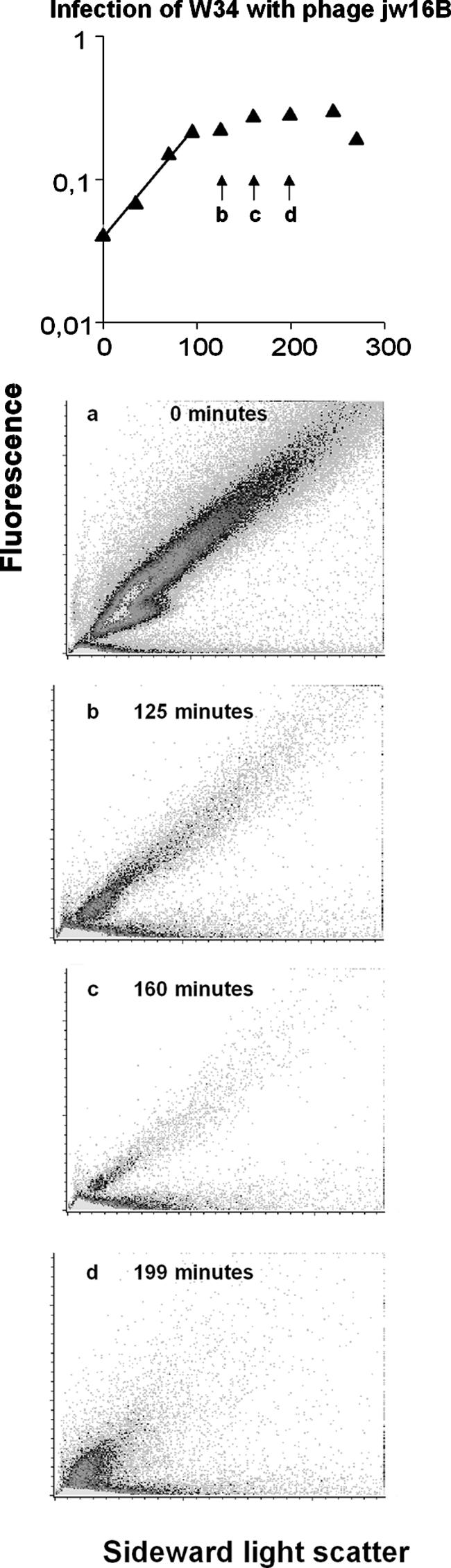 FIG. 8.