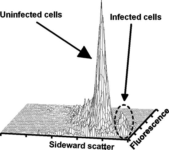 FIG. 9.